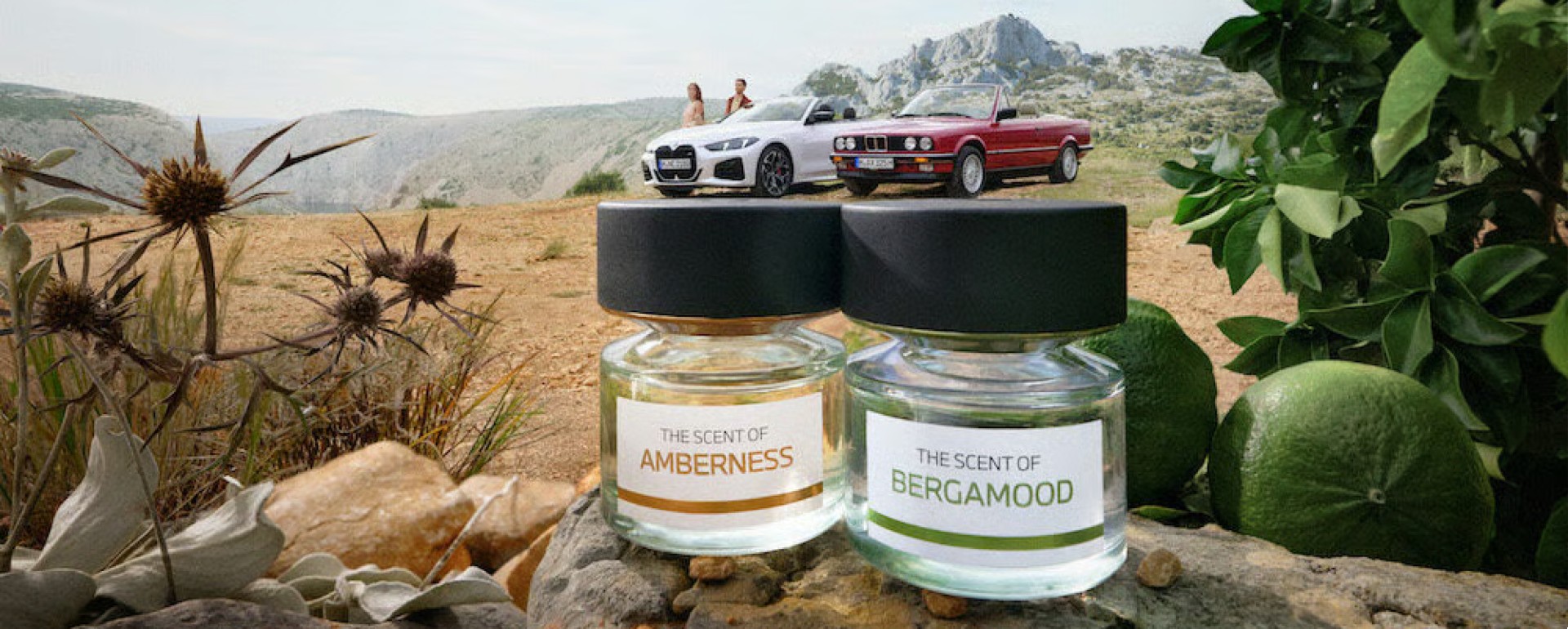 BMW AMBERNESS VÀ BERGAMOOD