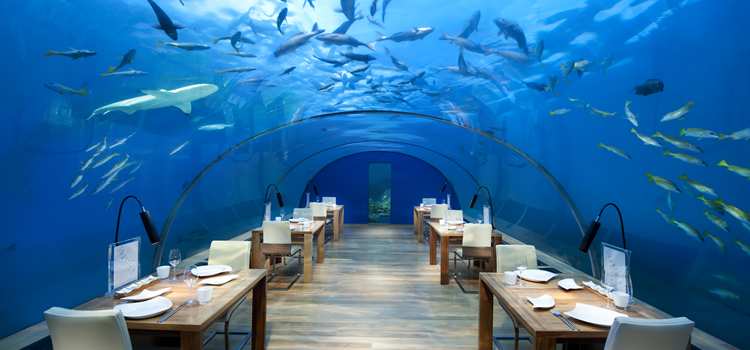 Bàn ăn tại nhà hàng Ithaa nằm 16 feet dưới mặt nước tại Maldives